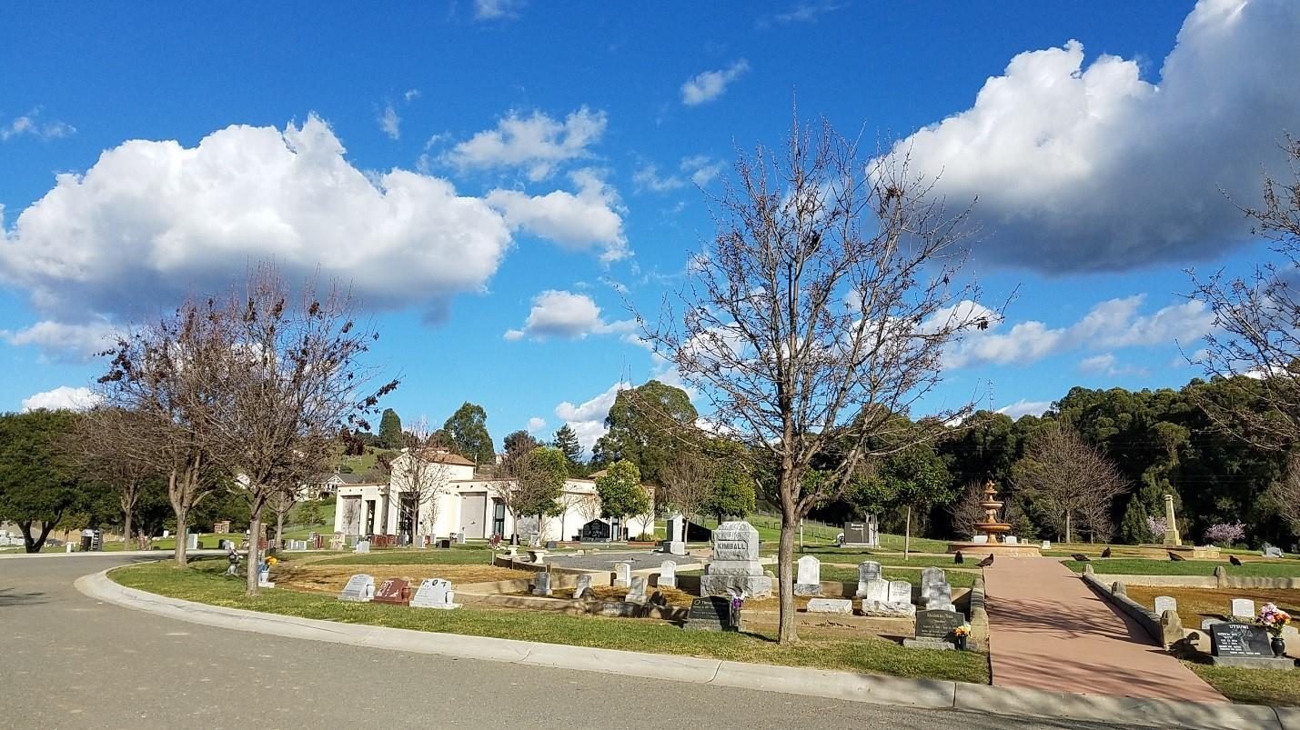 lone tree cemetery movie