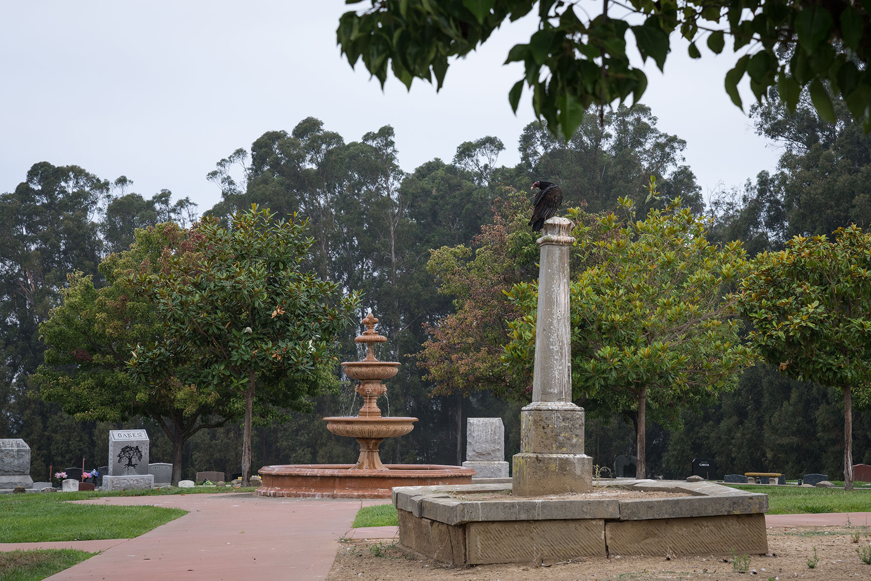 slide-LoneTreeCemetery17