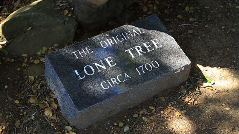 Granite Marker under the Lone Tree with the engraved date of 1700.