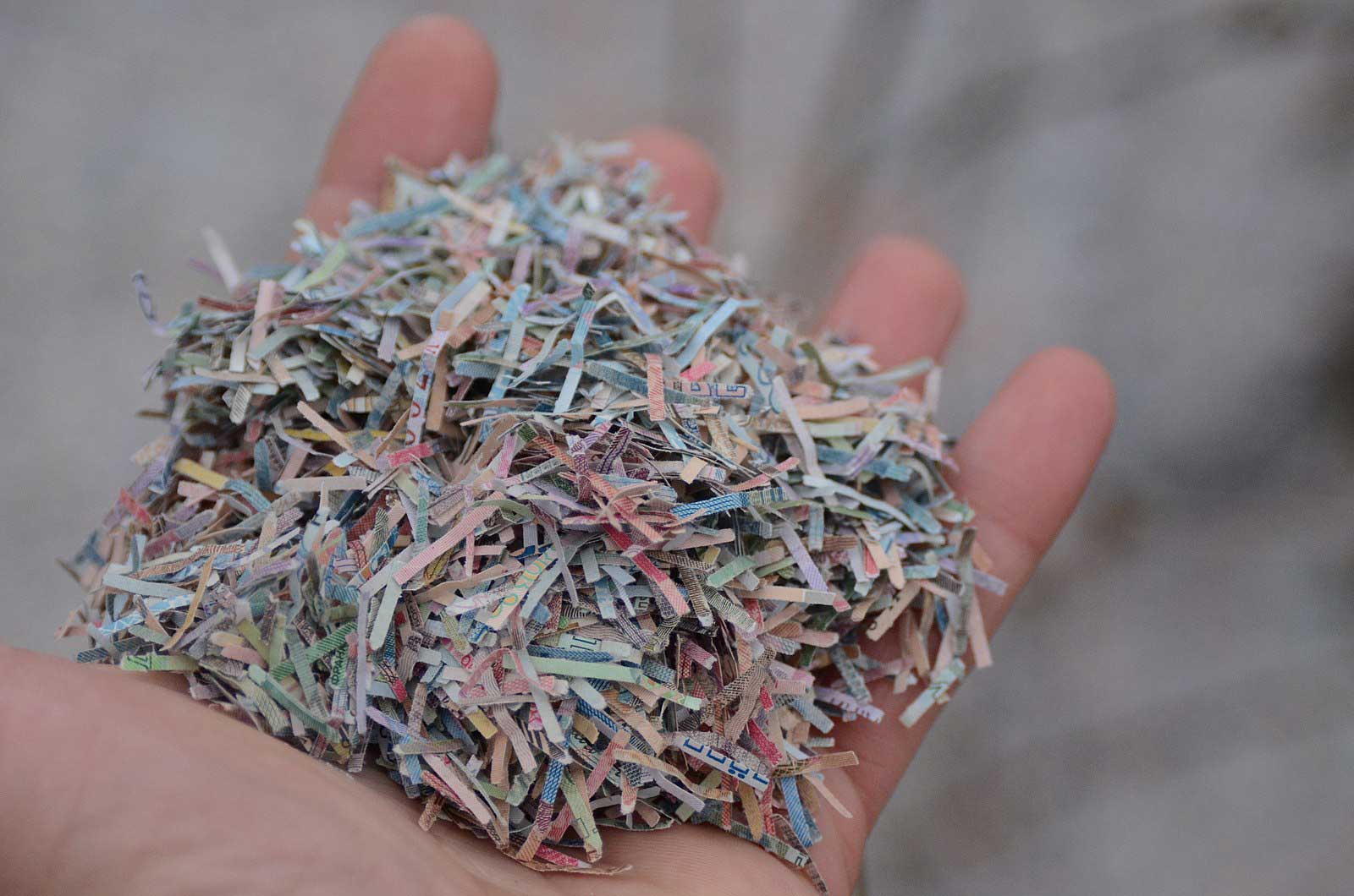 photo of Shredded Paper in s person's hand