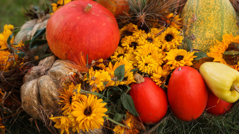 photo of gourds, pumpkins, and other fall vegetables.